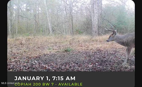 $83,000 | 0 Pleasant Lane, Wesson, MS 39191