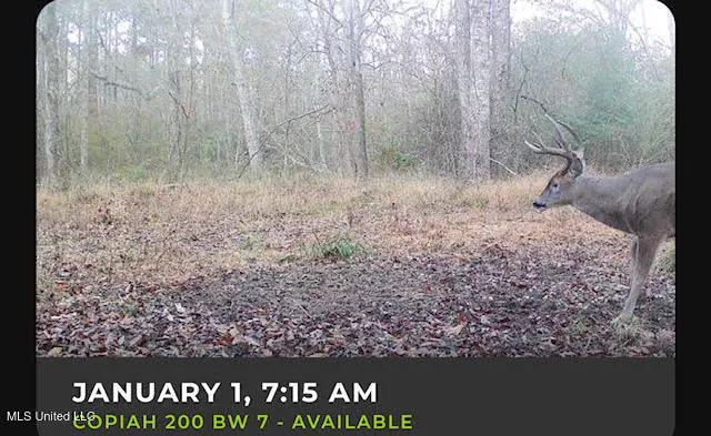 $83,000 | 0 Pleasant Lane, Wesson, MS 39191