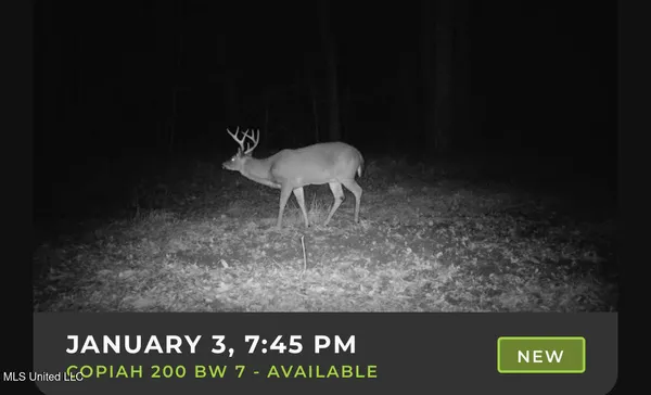 $83,000 | 0 Pleasant Lane, Wesson, MS 39191