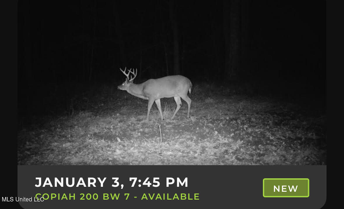 0 Pleasant Lane Wesson, MS 39191 - Photo 8 of 22 12