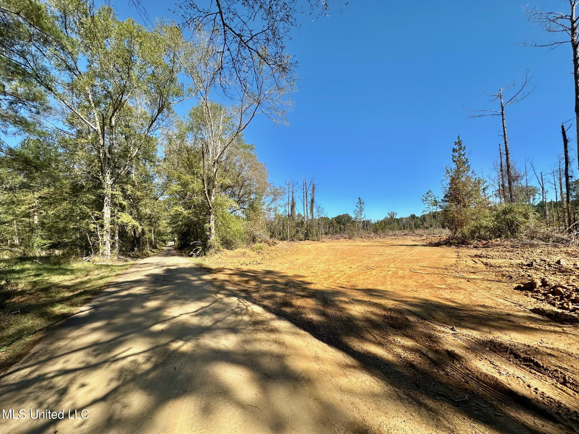 0 Pleasant Lane Wesson, MS 39191 - Photo 9 of 22 300