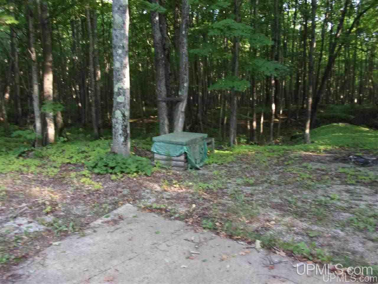 N6975 H-15 Road Shingleton, MI 49884 - Photo 24 of 30