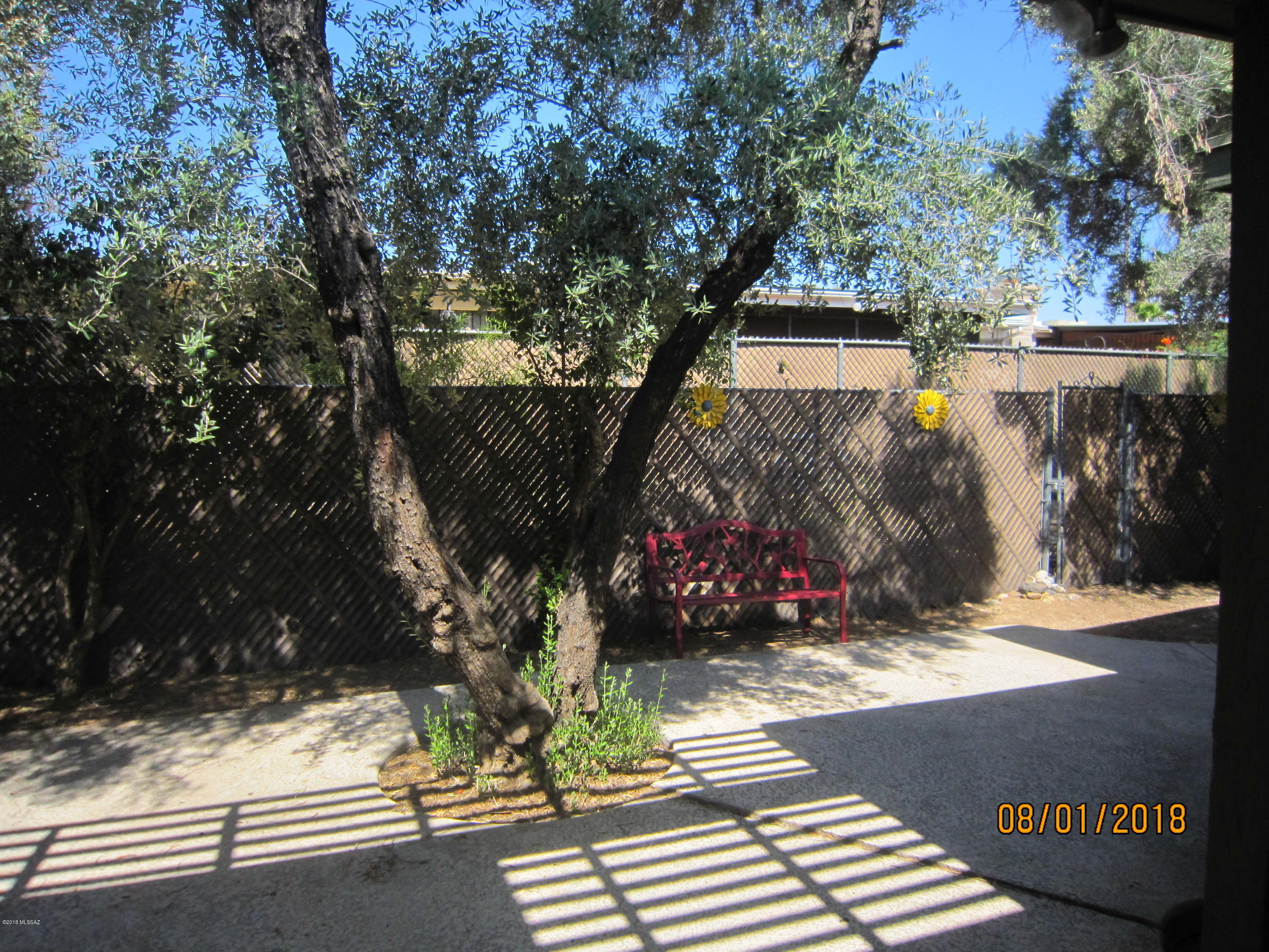 4263 North Limberlost Circle Tucson, AZ 85705 - Photo 16 of 21