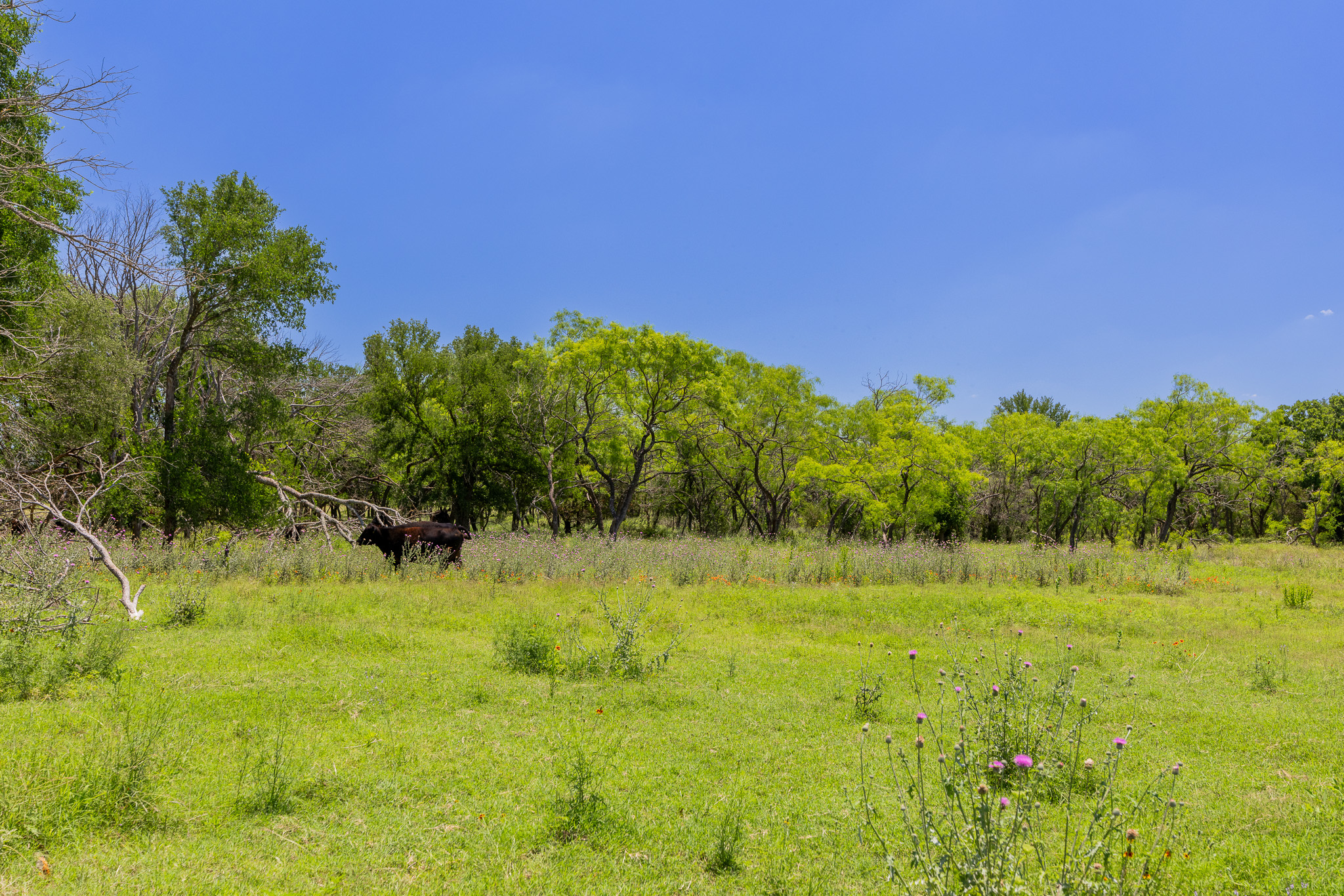 180 72 Ac Road Purmela, TX 76566 - Photo 14 of 33