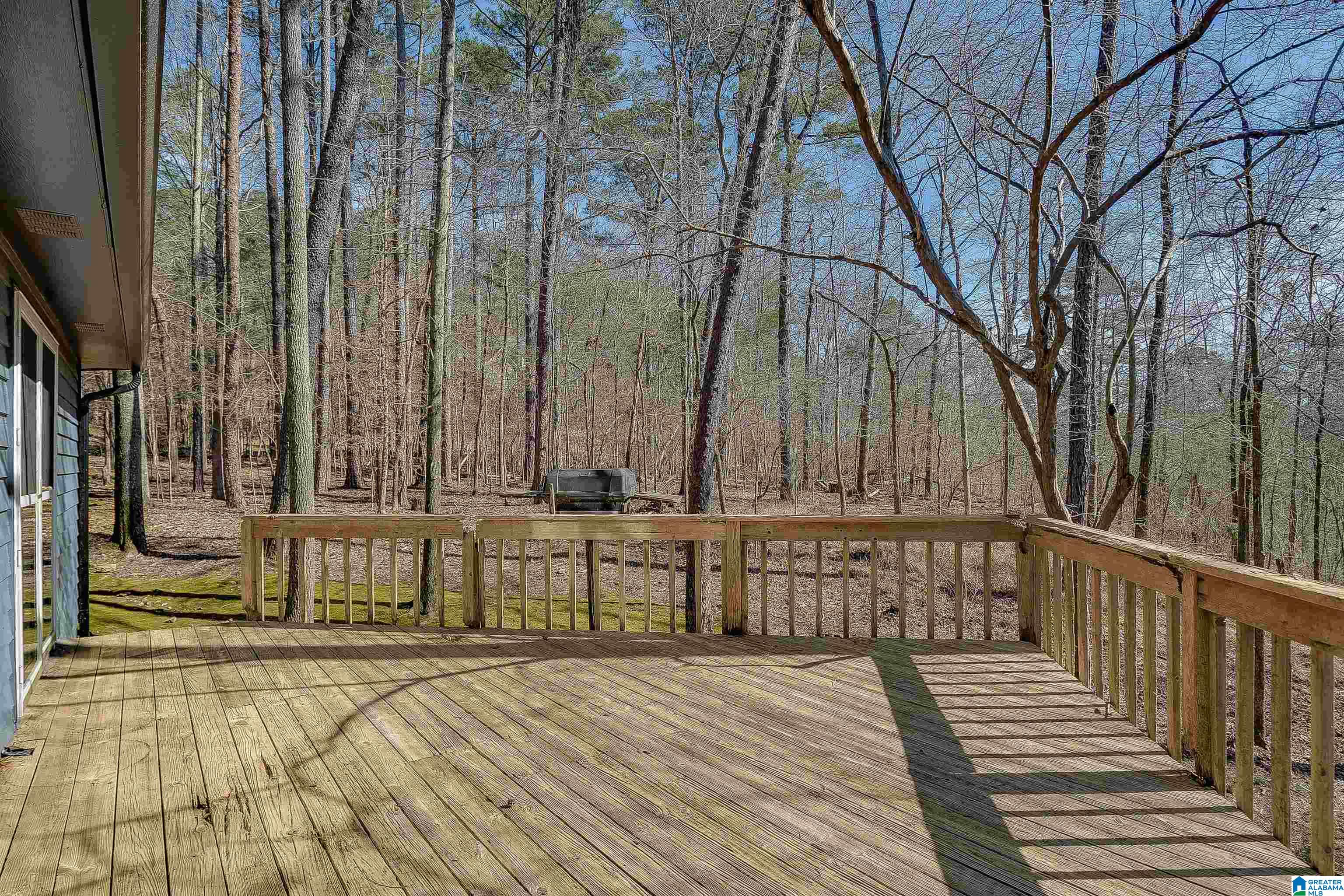 4116 River View Cove Birmingham, AL 35243 - Photo 9 of 43