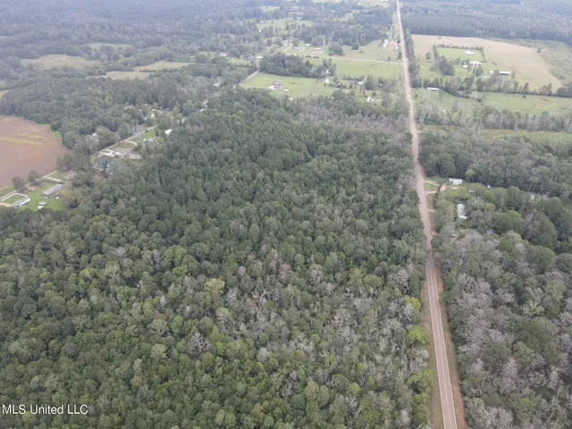 $275,000 | Ms-35, Forest, MS 39074
