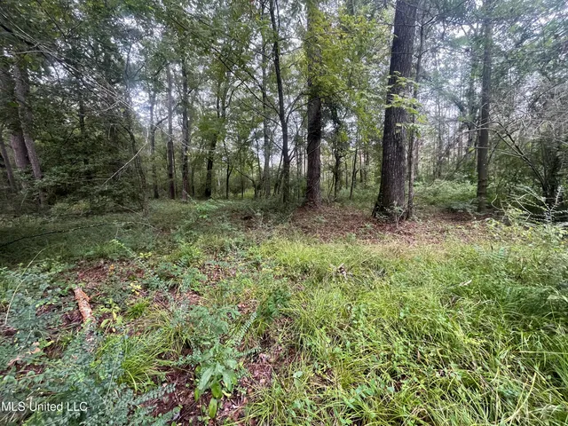$275,000 | Ms-35, Forest, MS 39074