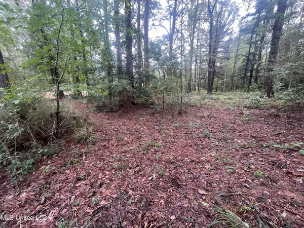 $275,000 | Ms-35, Forest, MS 39074