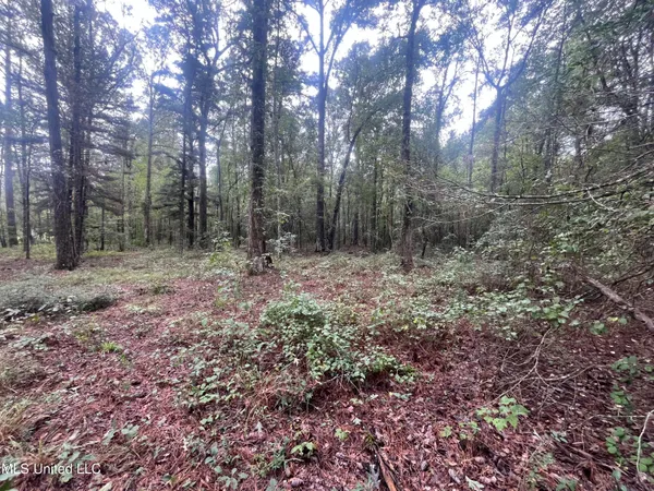 $275,000 | Ms-35, Forest, MS 39074