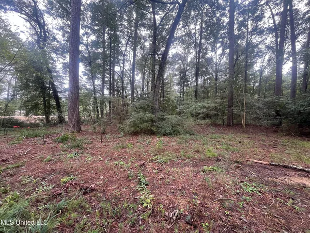 $275,000 | Ms-35, Forest, MS 39074