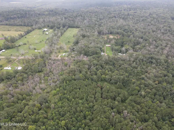 $275,000 | Ms-35, Forest, MS 39074