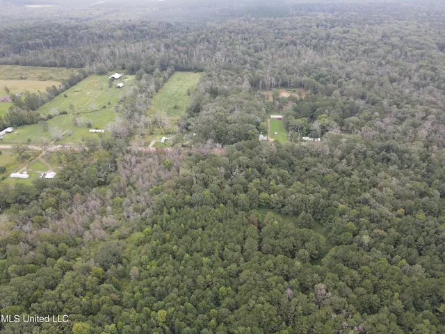 $275,000 | Ms-35, Forest, MS 39074