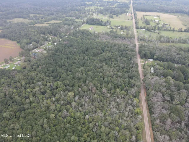 $275,000 | Ms-35, Forest, MS 39074