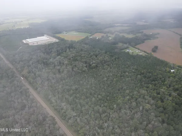 $275,000 | Ms-35, Forest, MS 39074