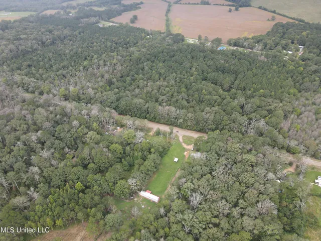 $275,000 | Ms-35, Forest, MS 39074