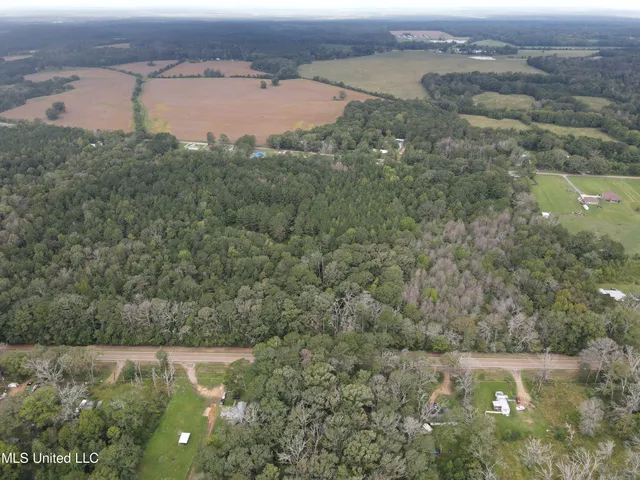 $275,000 | Ms-35, Forest, MS 39074