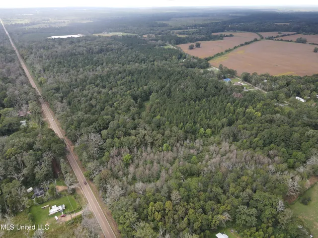 $275,000 | Ms-35, Forest, MS 39074