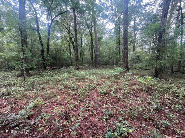 $275,000 | Ms-35, Forest, MS 39074