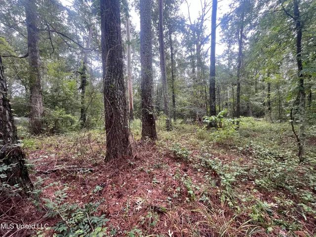 $275,000 | Ms-35, Forest, MS 39074