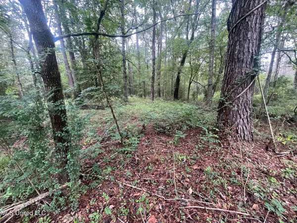 $275,000 | Ms-35, Forest, MS 39074