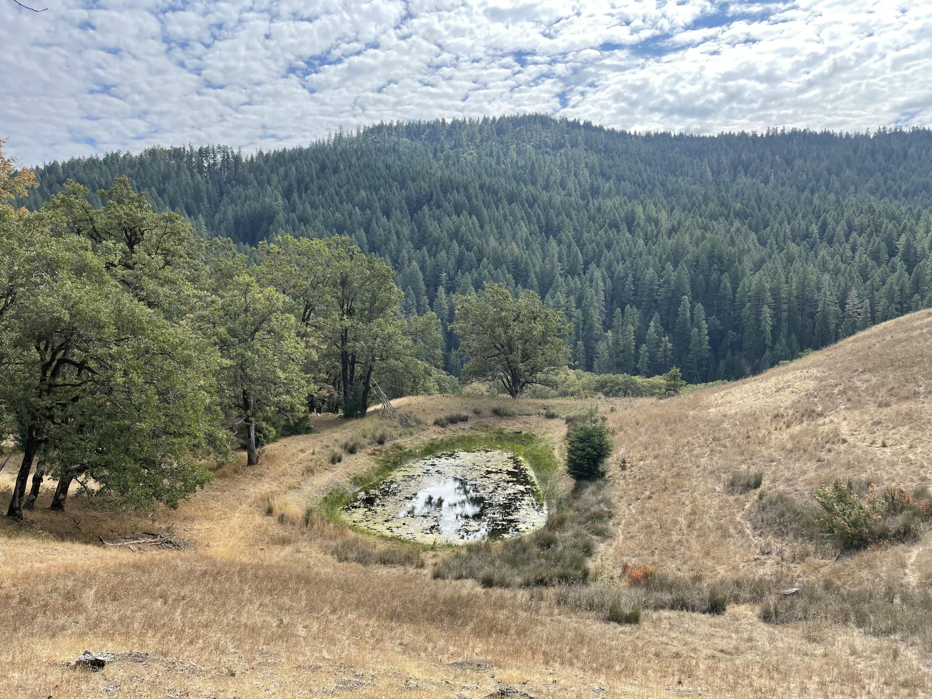 40-acres 40-acres Ridge Road Mad River, CA 95526 - Photo 22 of 28