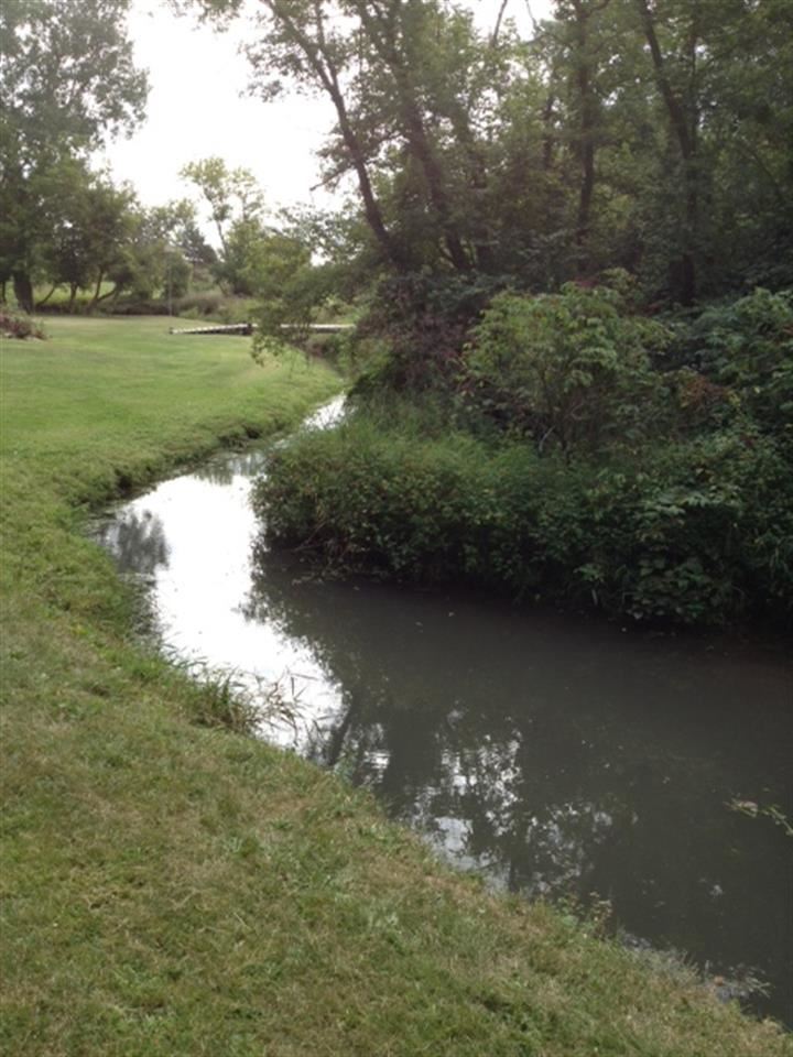 3613 East Oak Grove Road Byron, IL 61010 - Photo 23 of 24 a view of a lake from a yard
