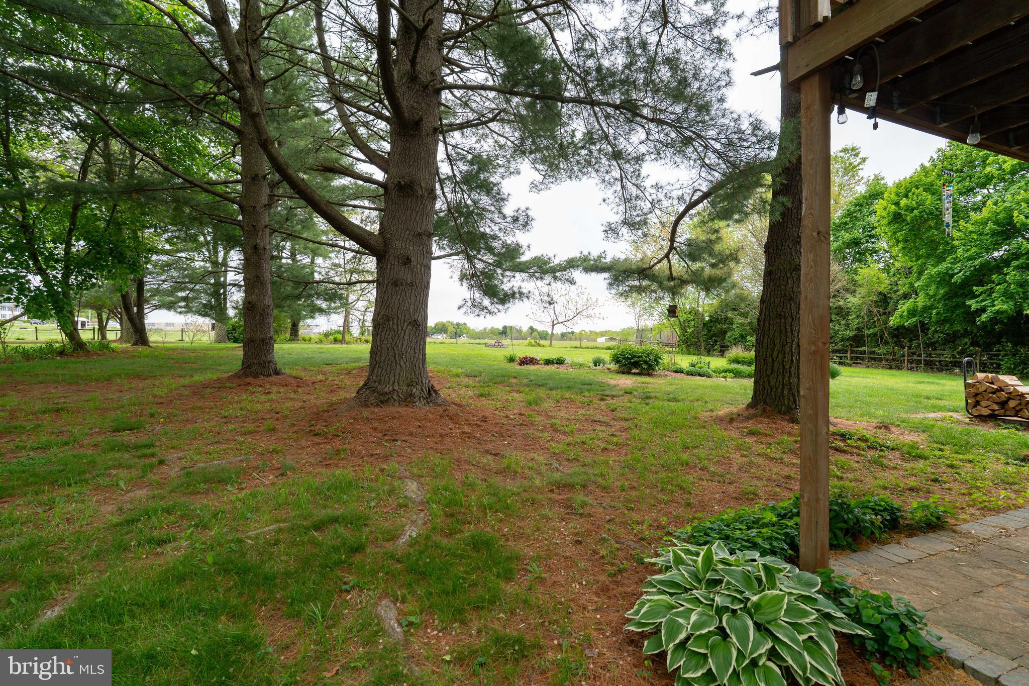 32 Springfield Drive North East, MD 21901 - Photo 11 of 38