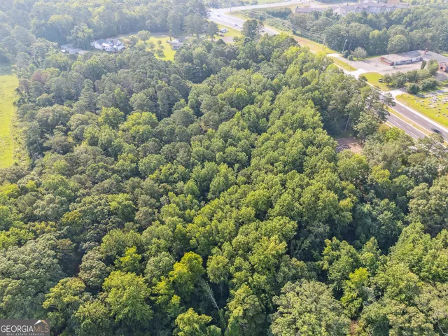 a view of a garden with a tree