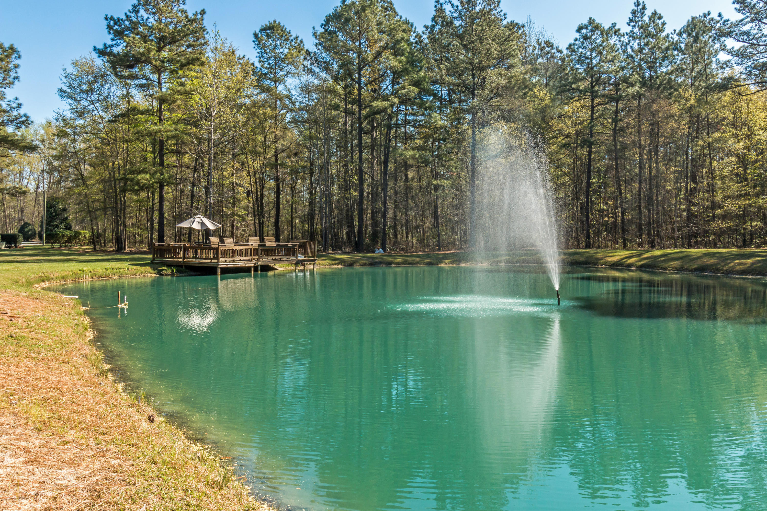 152 Country Road Bowman, SC 29018 - Photo 65 of 75 80