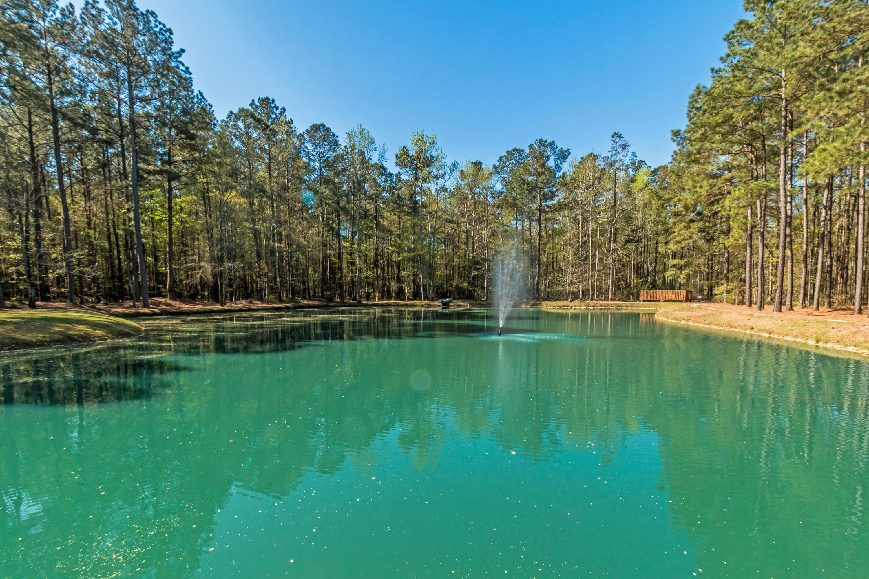 152 Country Road Bowman, SC 29018 - Photo 66 of 75 81