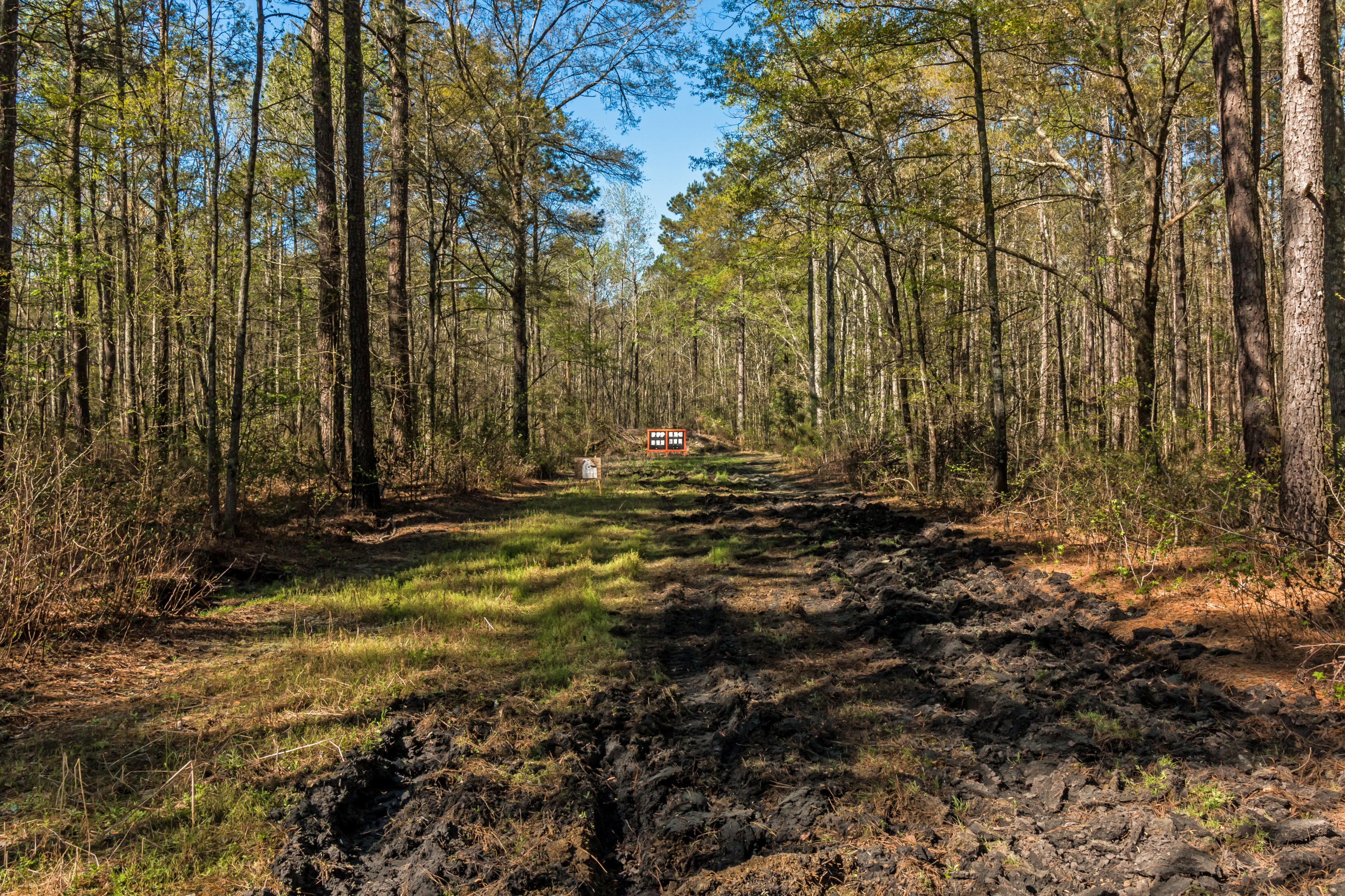 152 Country Road Bowman, SC 29018 - Photo 69 of 75 84