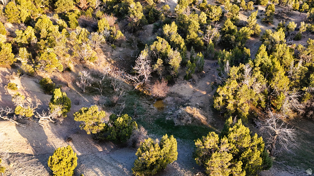 123 Tbd Forest Service Rd 640a (s Salina, UT 84654 - Photo 38 of 69 Bird's eye view of a tree filled landscape