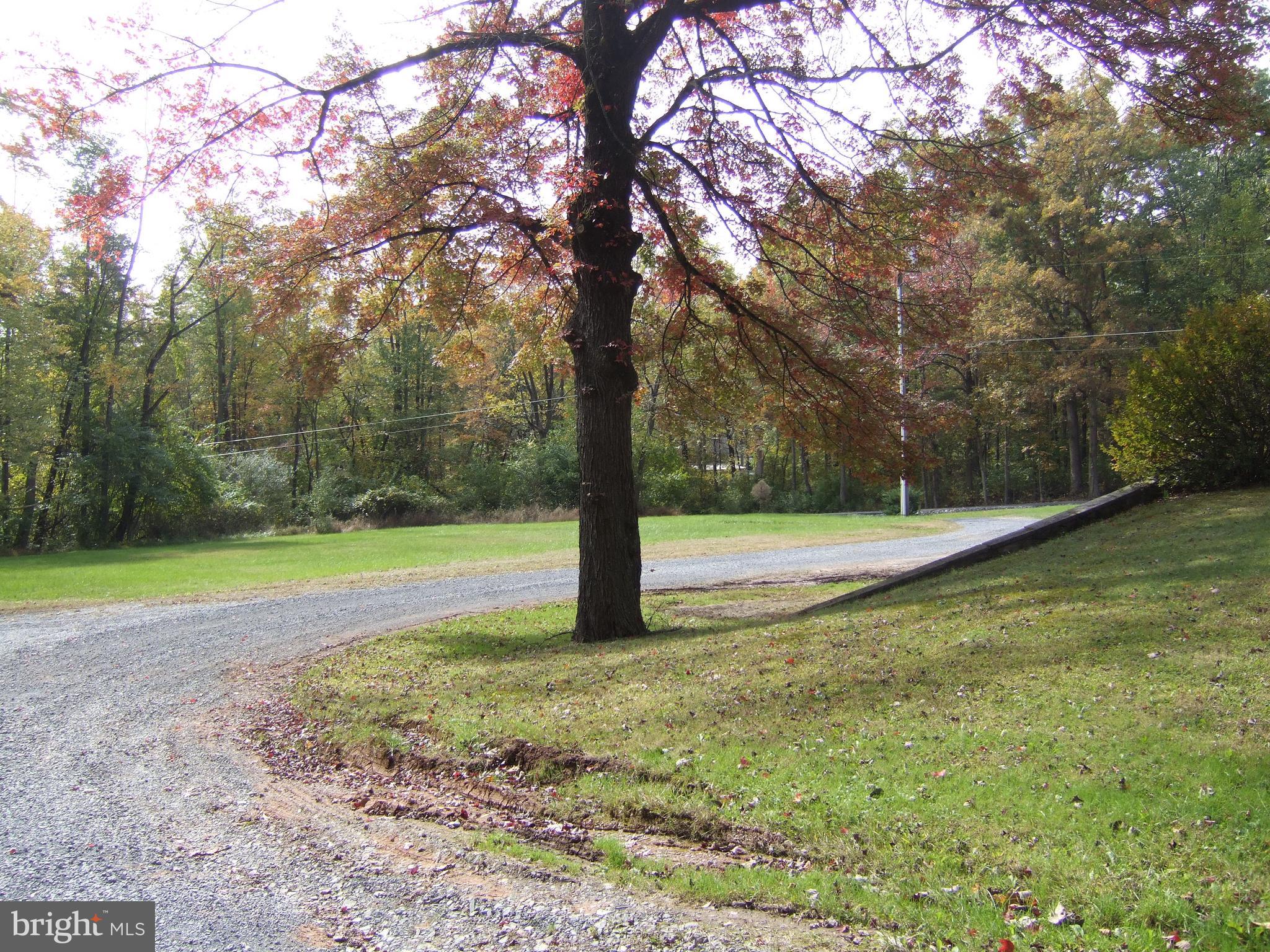 1265H Swamp Bridge Road Denver, PA 17517 - Photo 9 of 13 a view of a yard with a trees