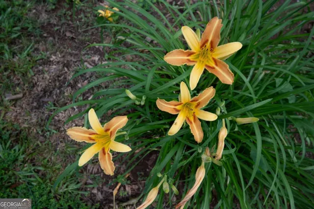 $385,000 | 2021 Windfield Drive, Monroe, GA 30655