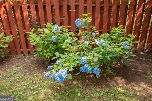 a bunch of flowers with wooden fence