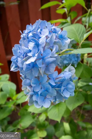 $385,000 | 2021 Windfield Drive, Monroe, GA 30655