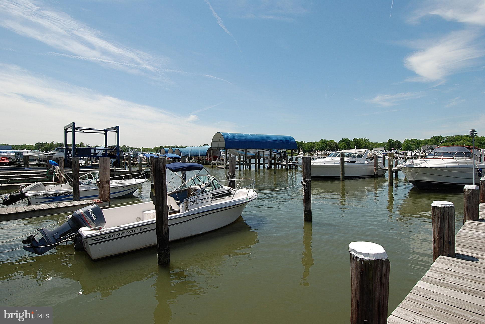 1031 Turkey Point Road Edgewater, MD 21037 - Photo 68 of 69 Gallery Image 68
