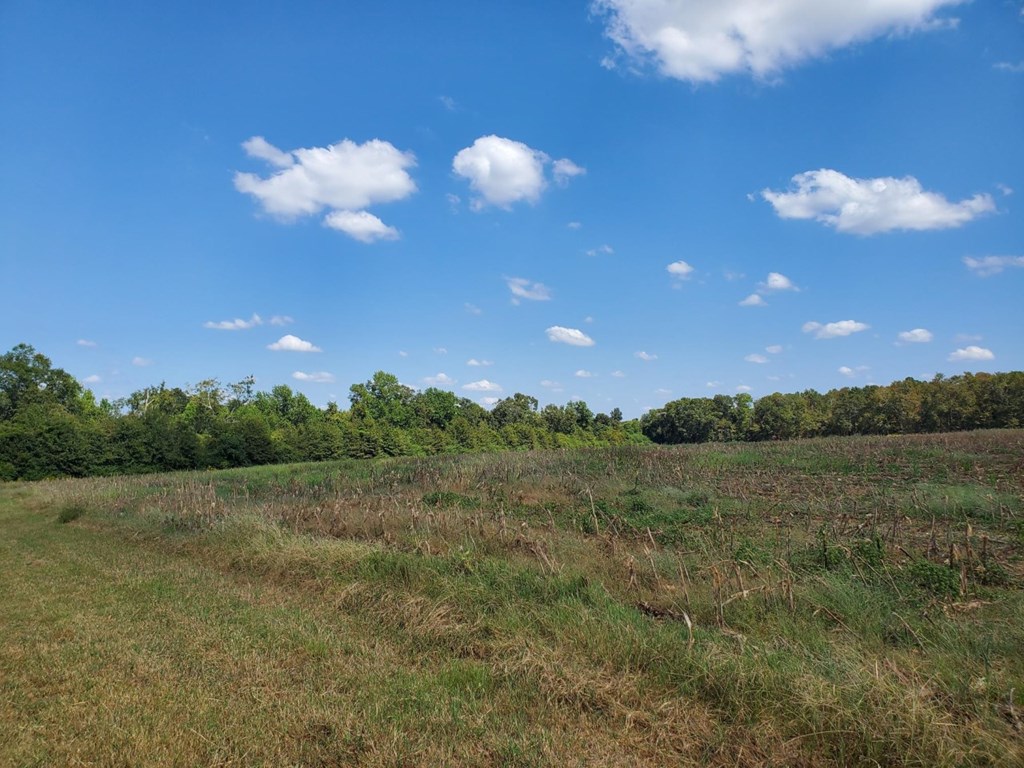 1243 Scott Road Slocomb, AL 36375 - Photo 5 of 10
