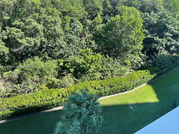 a view of a green yard with large trees