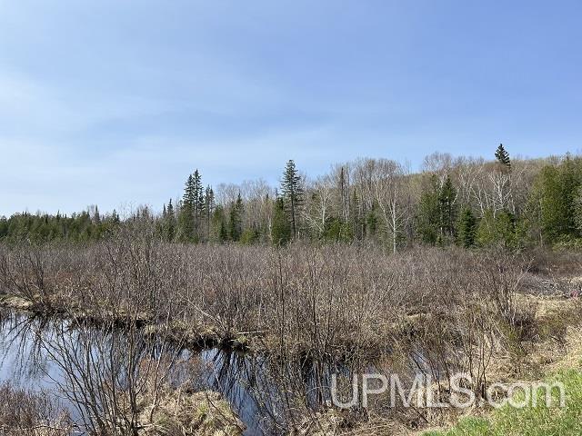 40-acres Little Lake Road Gwinn, MI 49841 - Photo 14 of 25