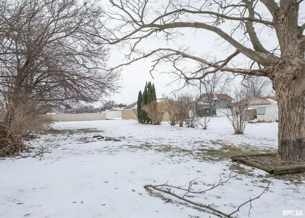 a view of a yard covered with snow in back