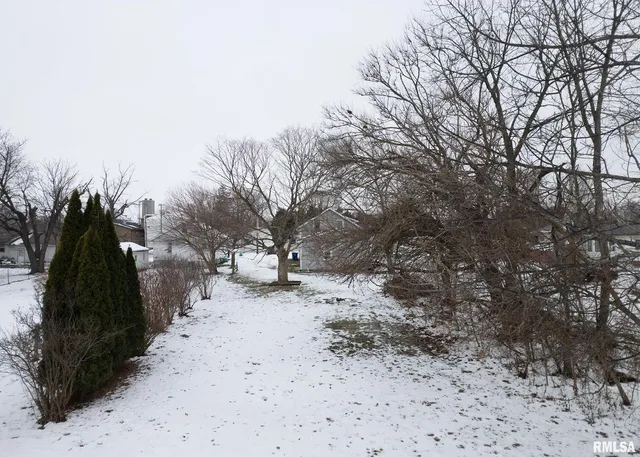 a view of a yard covered with snow
