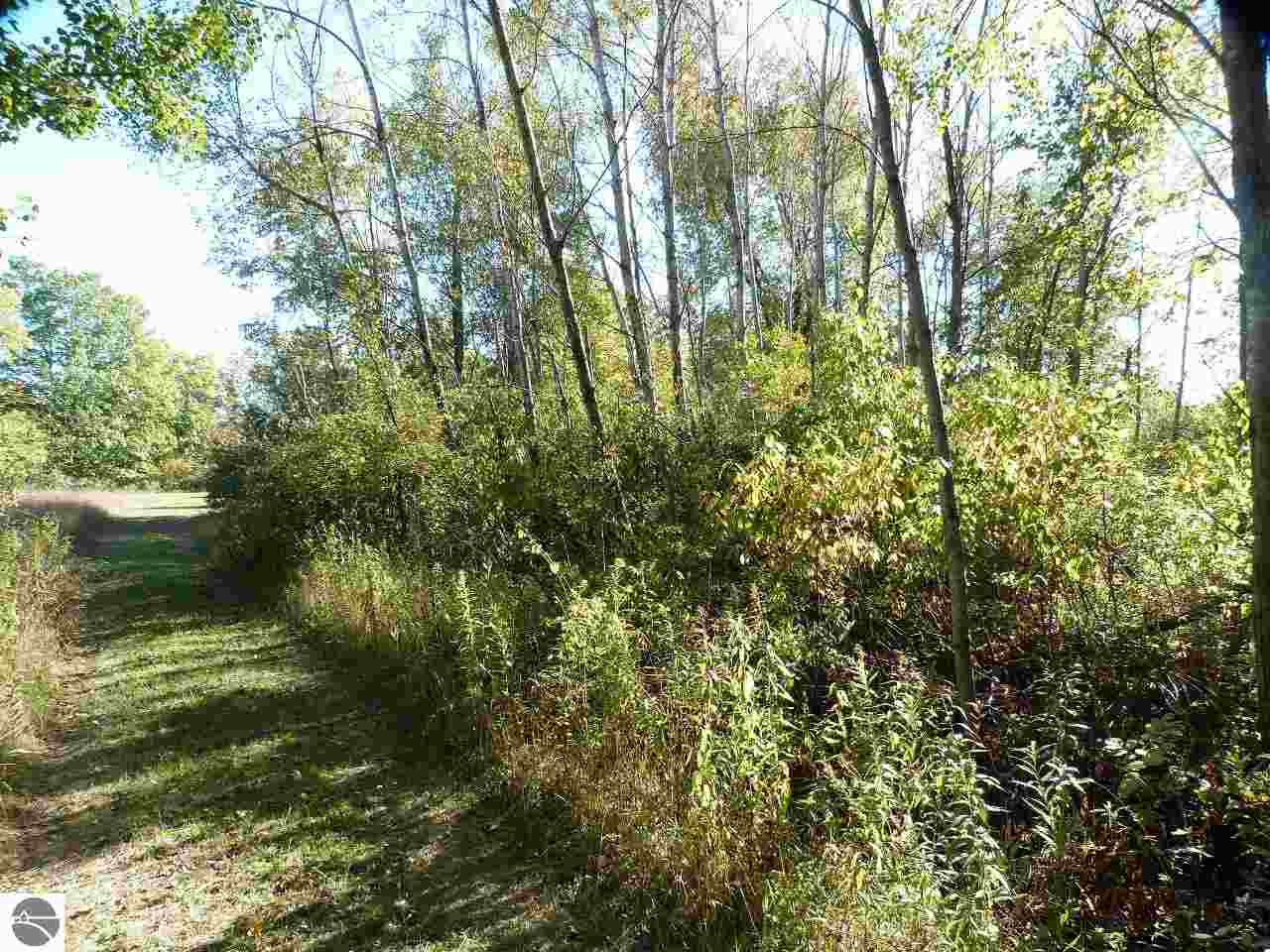 15721 Dzuibanek Road Thompsonville, MI 49683 - Photo 44 of 56 1776888-43.JPG