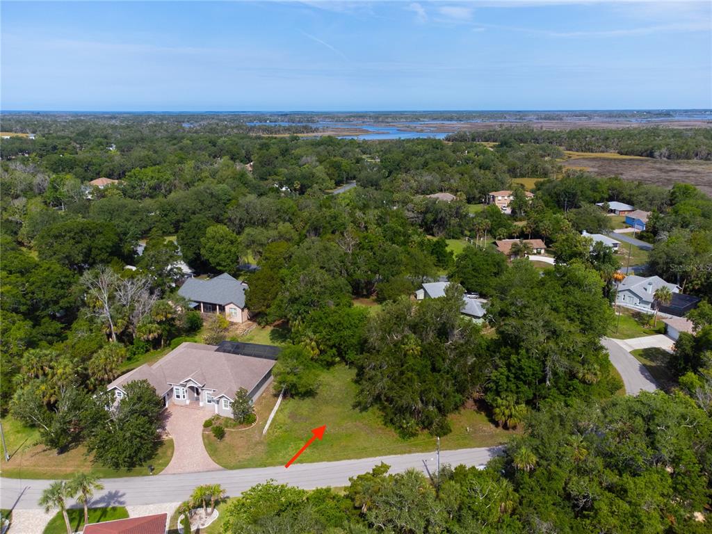 4648 South Gator Loop Homosassa, FL 34448 - Photo 6 of 19