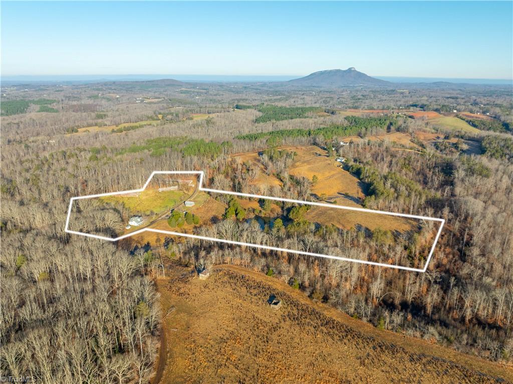 588 Roby Fulk Road Pinnacle, NC 27043 - Photo 6 of 48
