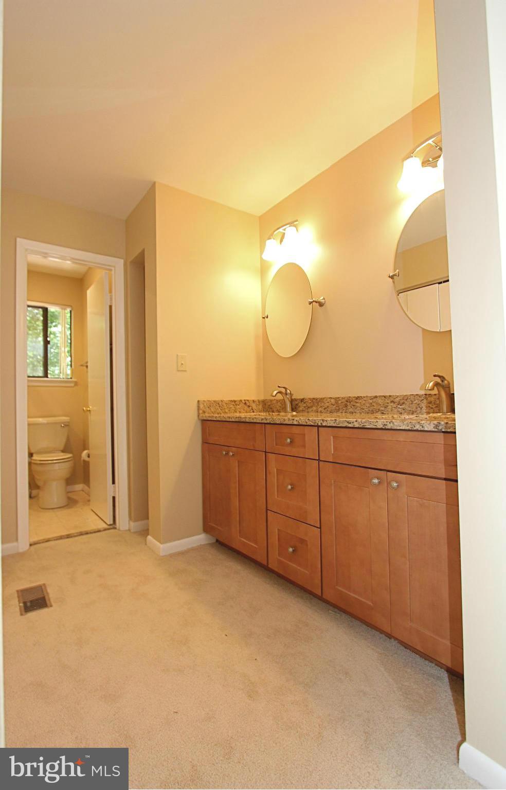 36 Constantine Drive Phoenix, MD 21131 - Photo 18 of 30 a bathroom with a granite countertop sink mirror and vanity