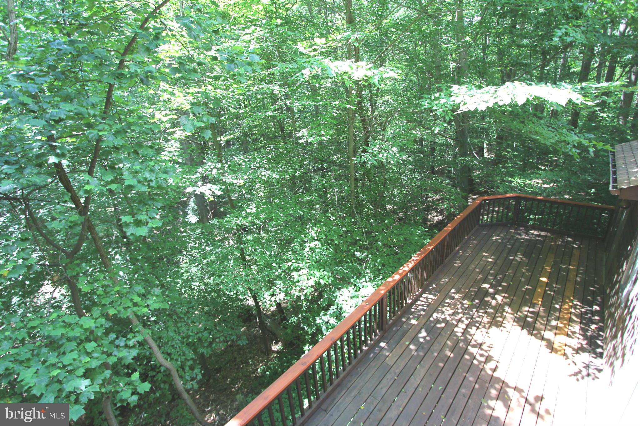 36 Constantine Drive Phoenix, MD 21131 - Photo 28 of 30 a view of balcony with yard