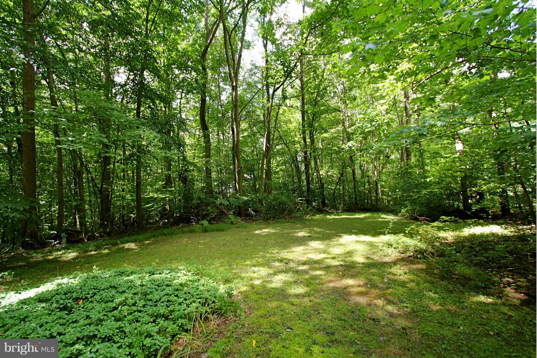 36 Constantine Drive Phoenix, MD 21131 - Photo 29 of 30 a view of a trees with a yard