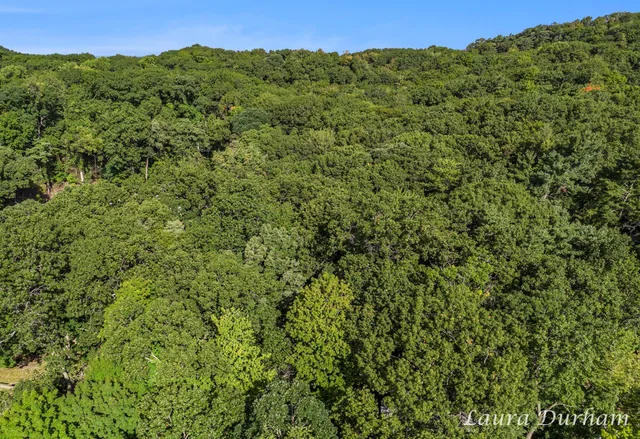 $195,000 | Vl Park Street, Saugatuck, MI 49453