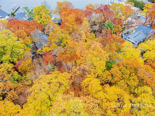 $195,000 | Vl Park Street, Saugatuck, MI 49453